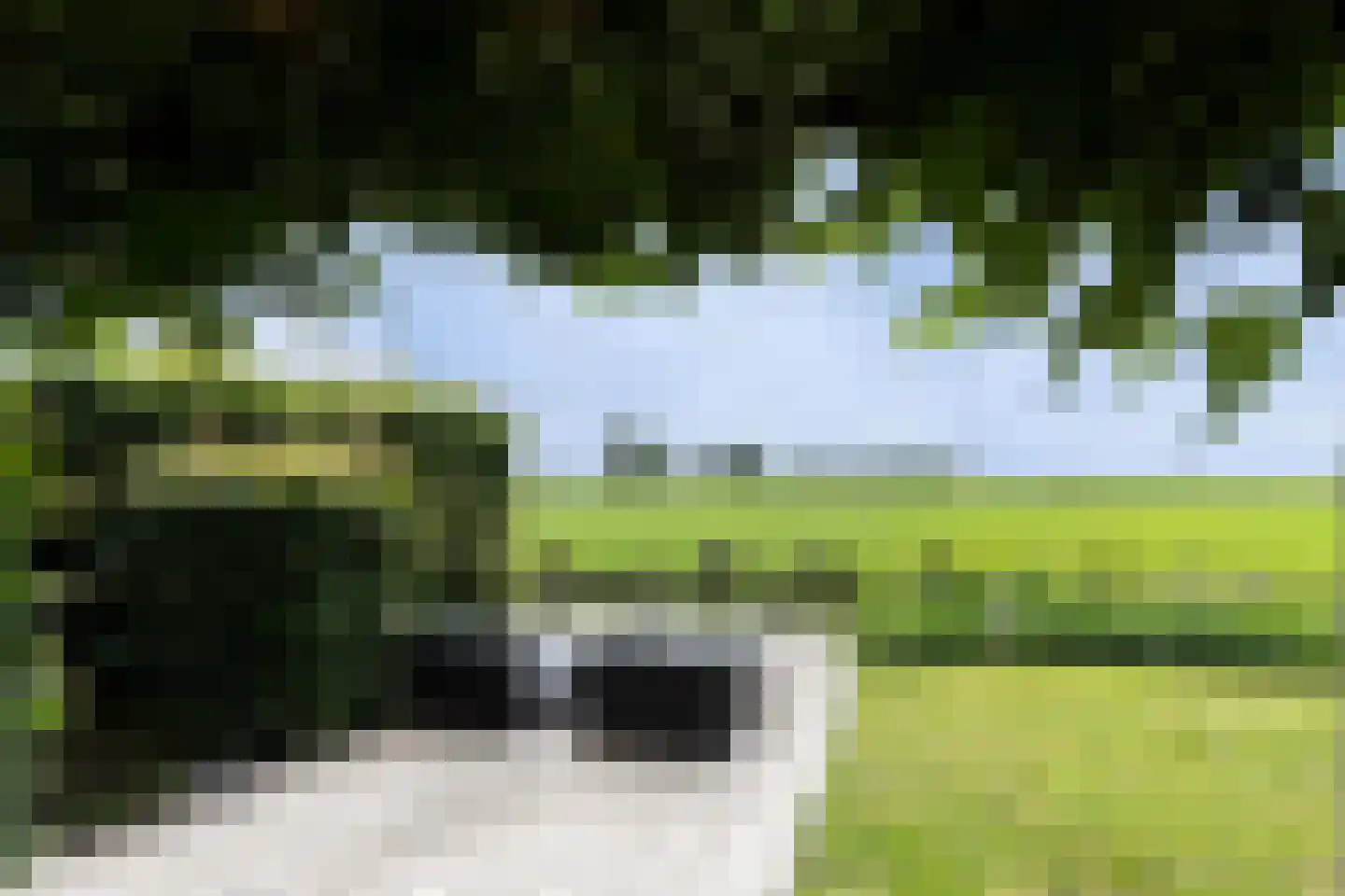 Oude Wetering 15 Streefkerk thumbnail 68