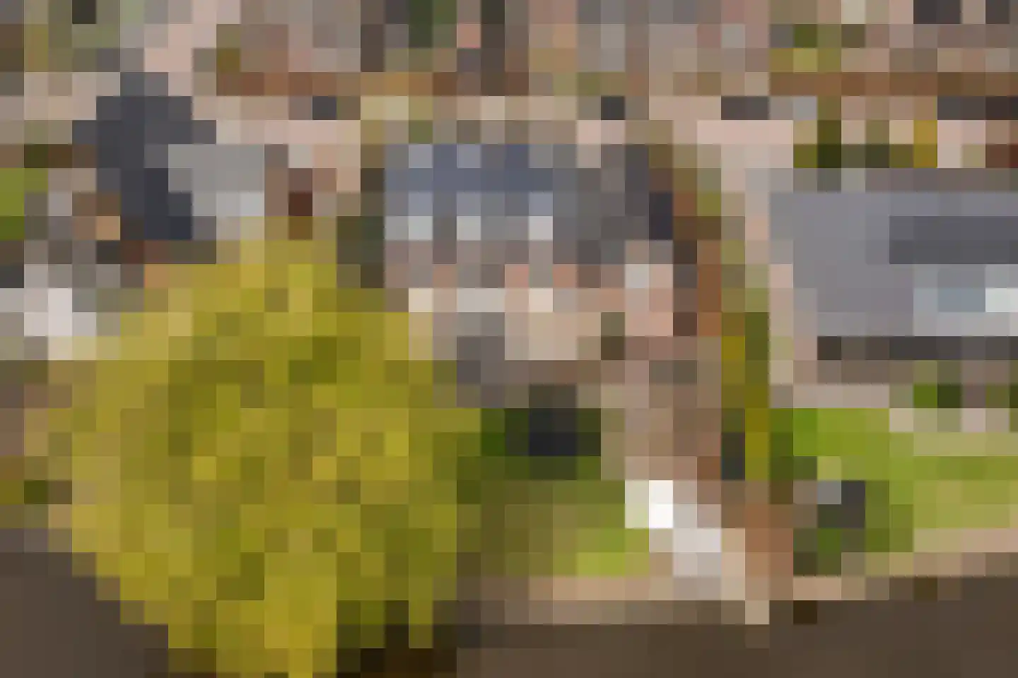 Oude Wetering 15 Streefkerk thumbnail 76