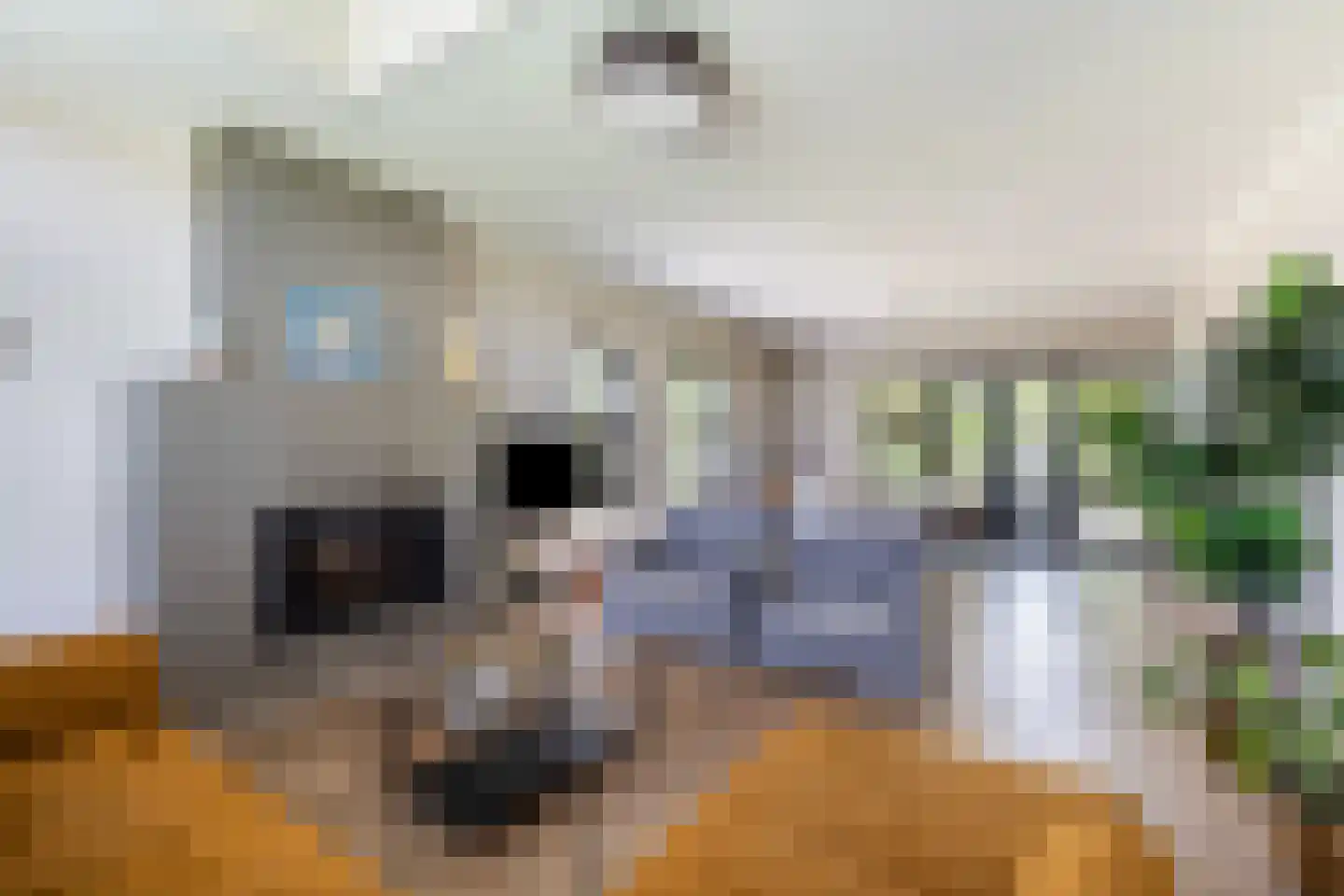 Oude Wetering 25 Zwolle thumbnail 10