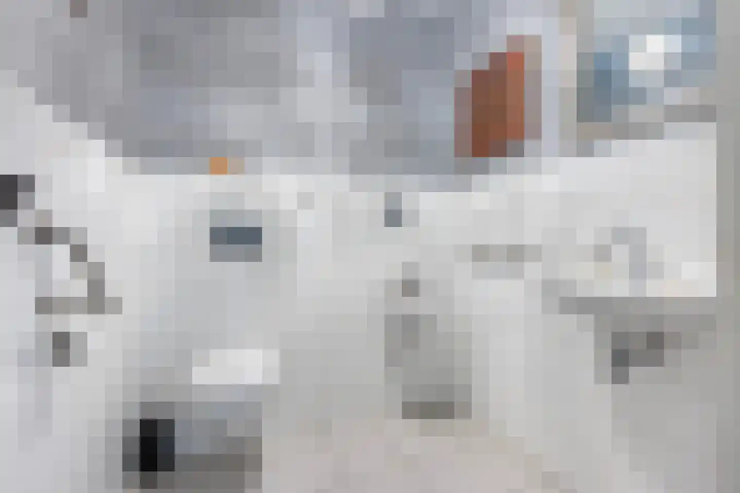 Oude Wetering 25 Zwolle thumbnail 24