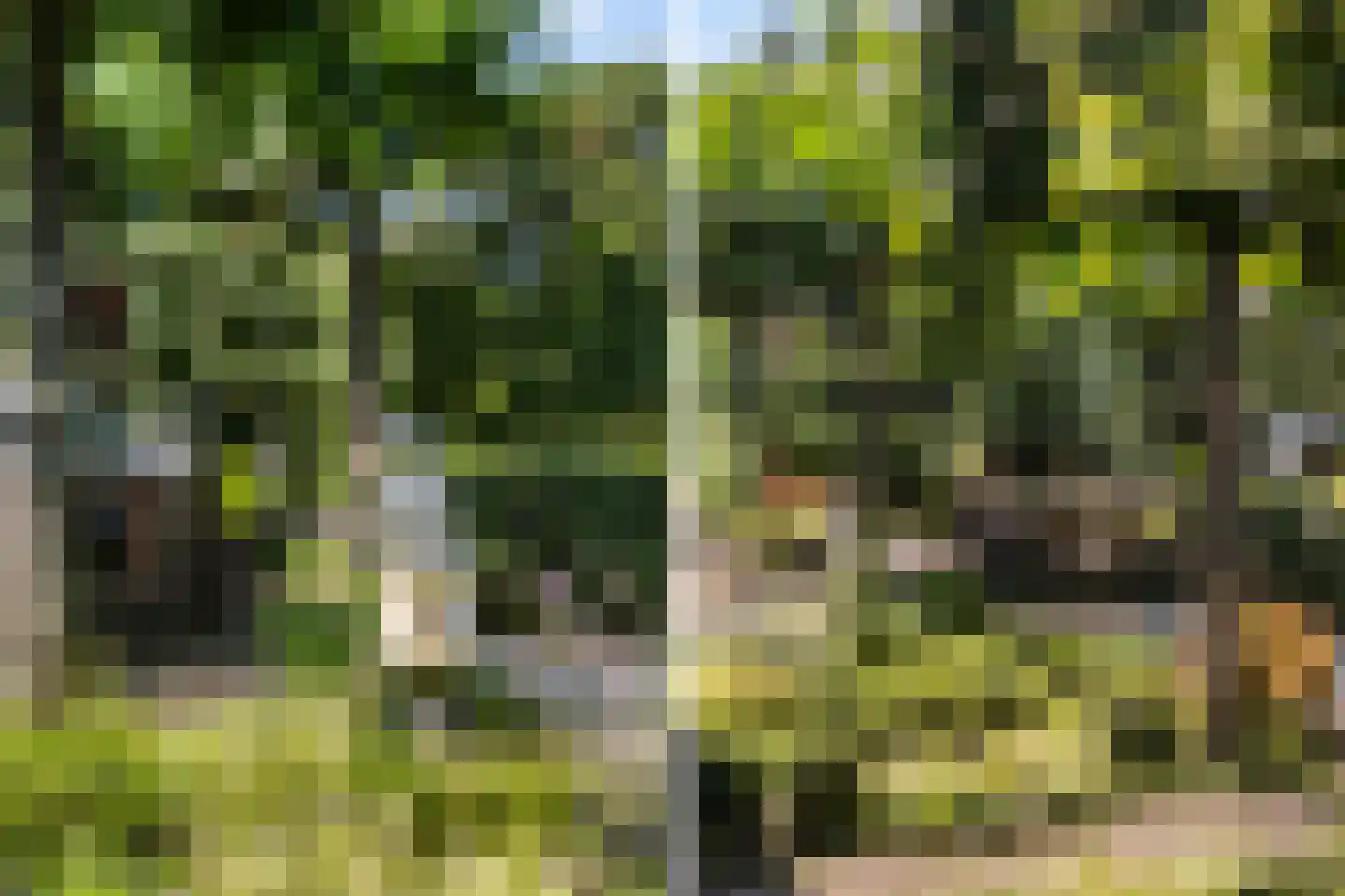 Oude Wetering 25 Zwolle thumbnail 41