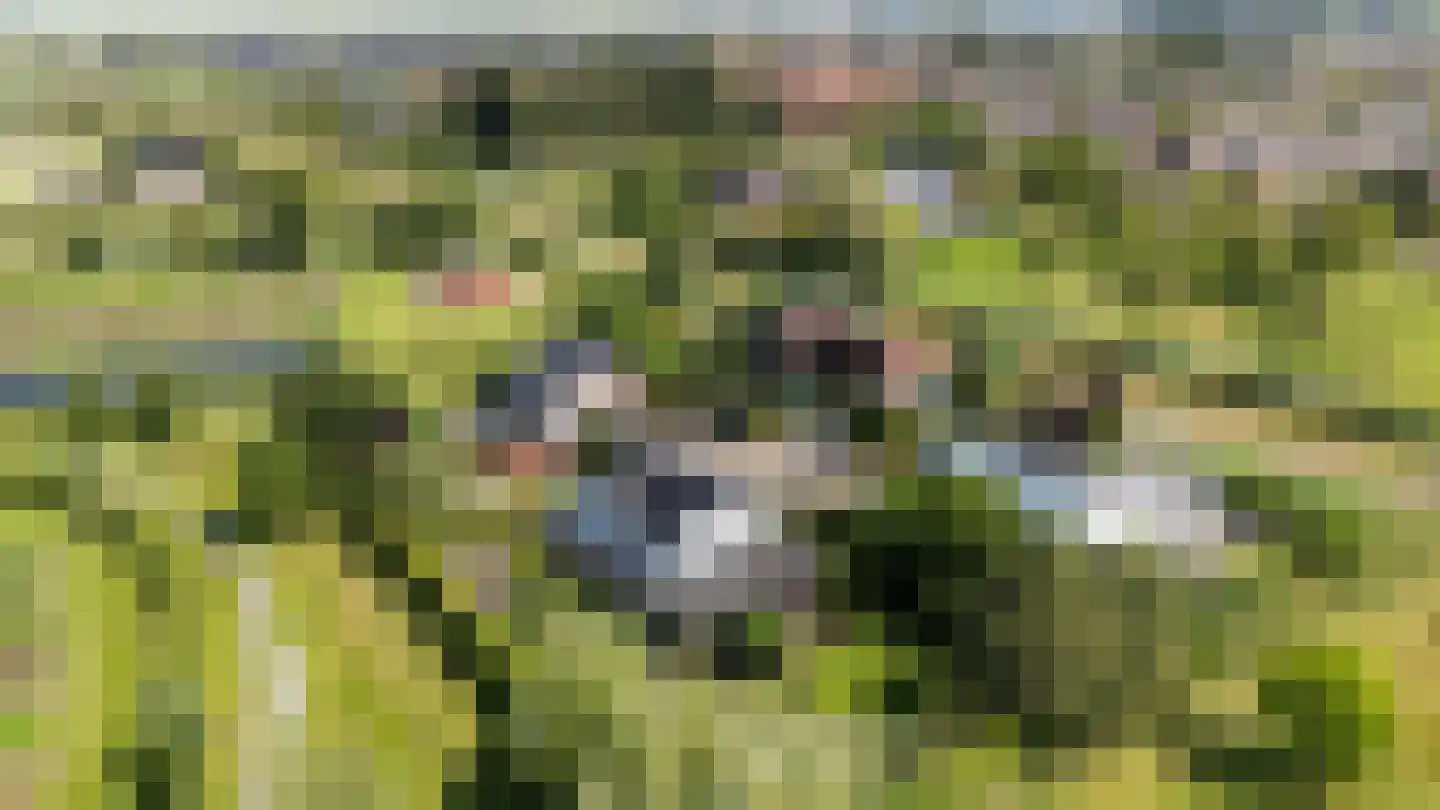 Oude Wetering 25 Zwolle thumbnail 46