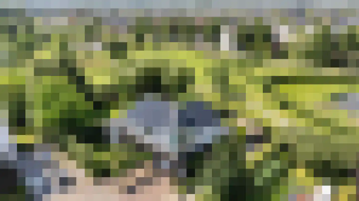 Oude Wetering 25 Zwolle thumbnail 47