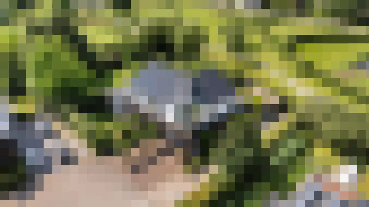 Oude Wetering 25 Zwolle thumbnail 48
