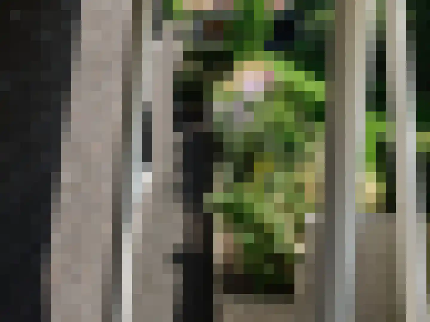 Oude Wetering 64 Zwolle thumbnail 47