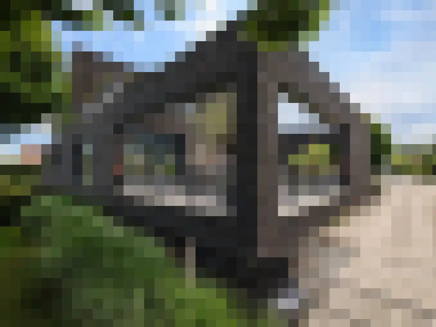 Oude Wetering 64 Zwolle thumbnail 53