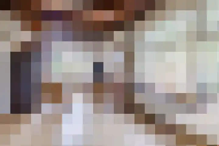 Oude wijk 5 Noordscheschut thumbnail 11