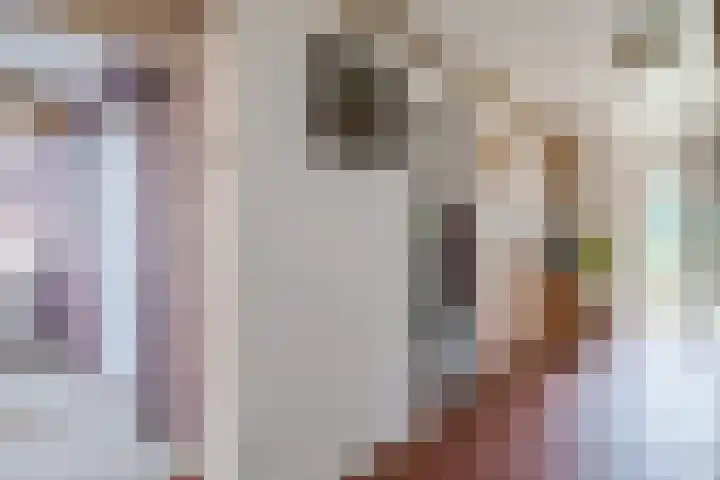 Oude wijk 5 Noordscheschut thumbnail 14