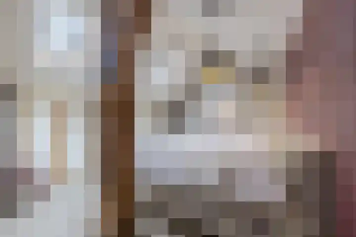 Oude wijk 5 Noordscheschut thumbnail 15