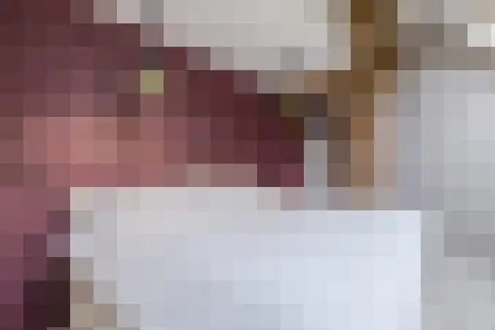 Oude wijk 5 Noordscheschut thumbnail 16
