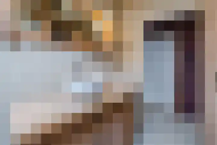 Oude wijk 5 Noordscheschut thumbnail 19