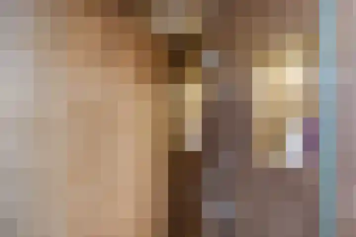 Oude wijk 5 Noordscheschut thumbnail 20