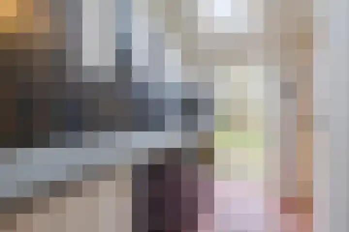 Oude wijk 5 Noordscheschut thumbnail 22