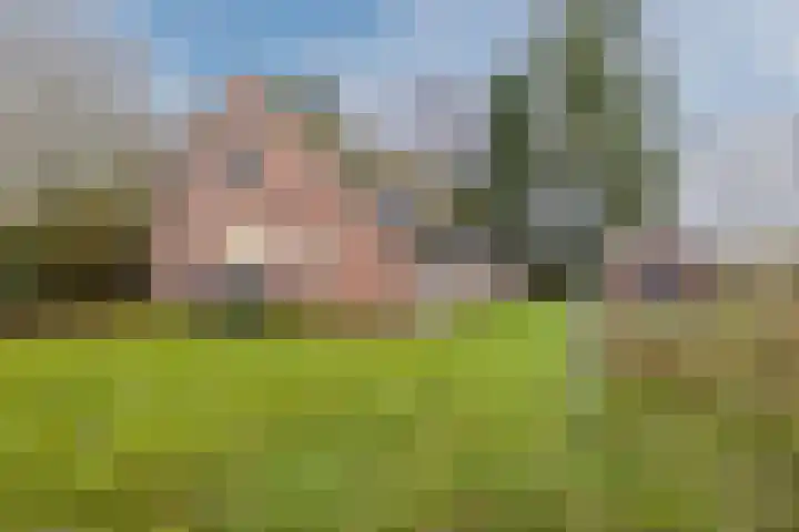 Oude wijk 5 Noordscheschut foto 3