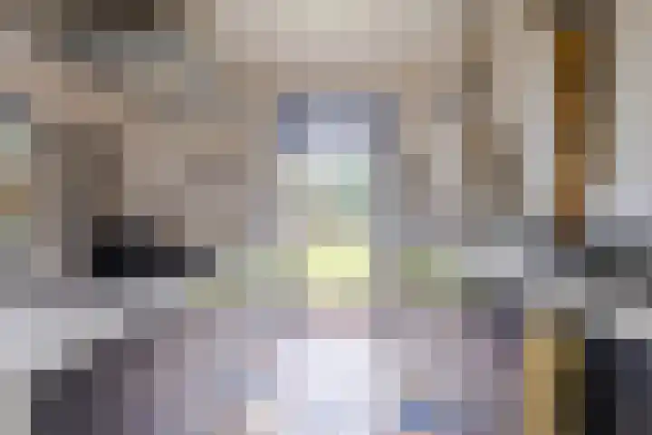 Oude wijk 5 Noordscheschut thumbnail 30