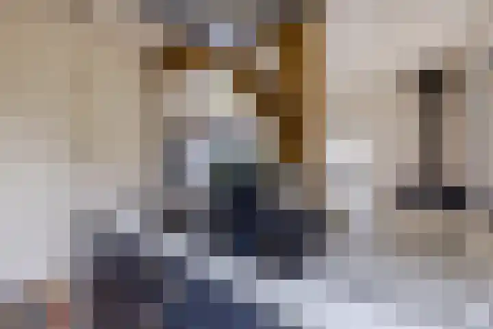 Oude wijk 5 Noordscheschut thumbnail 31