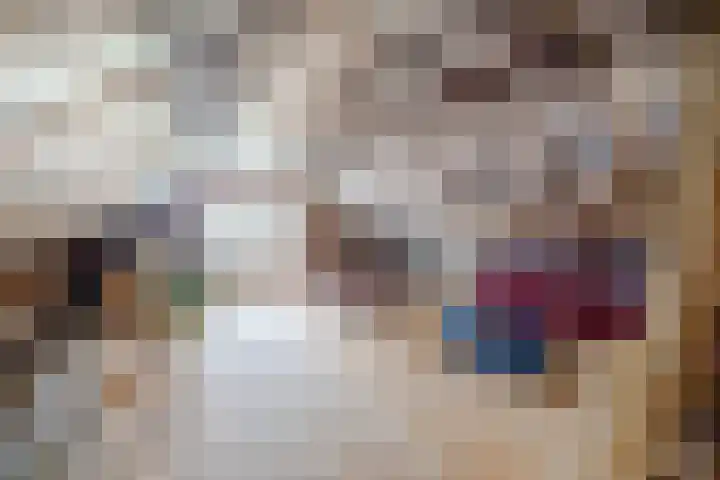Oude wijk 5 Noordscheschut thumbnail 36