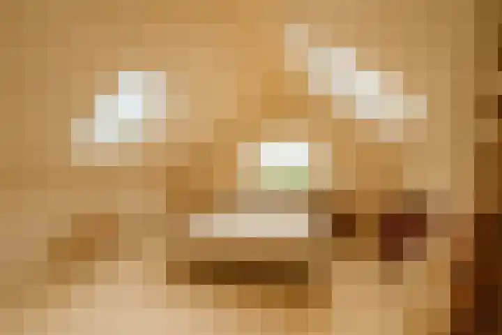 Oude wijk 5 Noordscheschut thumbnail 37