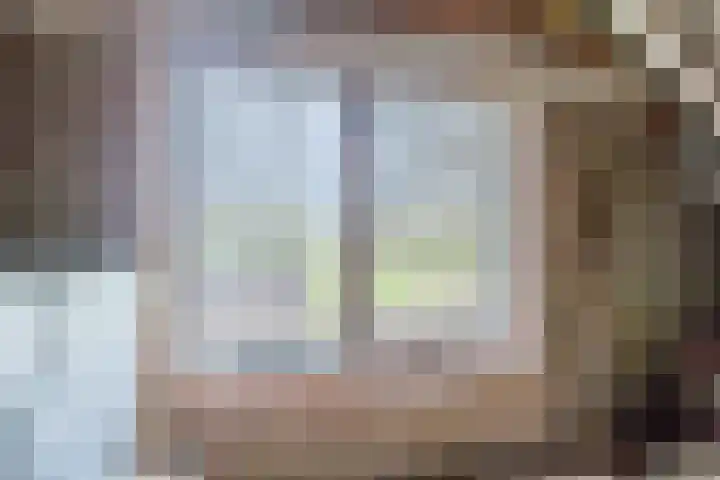 Oude wijk 5 Noordscheschut thumbnail 38