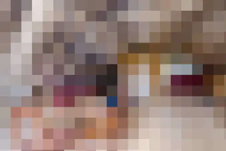 Oude wijk 5 Noordscheschut thumbnail 39