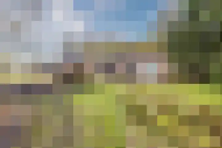 Oude wijk 5 Noordscheschut thumbnail 4