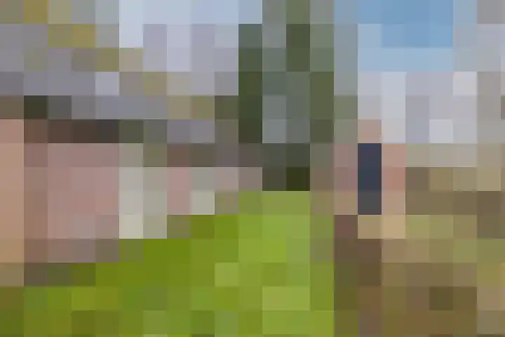 Oude wijk 5 Noordscheschut thumbnail 43