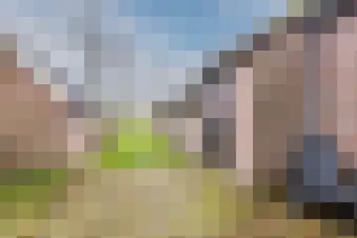 Oude wijk 5 Noordscheschut thumbnail 44