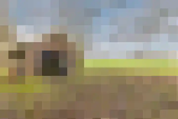 Oude wijk 5 Noordscheschut thumbnail 45