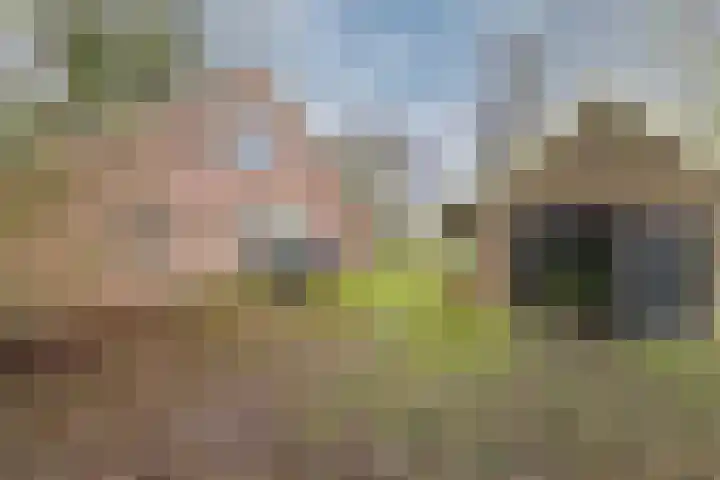 Oude wijk 5 Noordscheschut thumbnail 46
