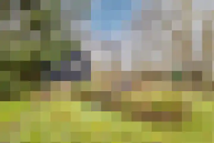 Oude wijk 5 Noordscheschut thumbnail 47