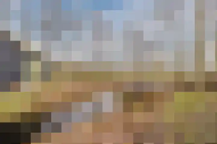 Oude wijk 5 Noordscheschut thumbnail 48
