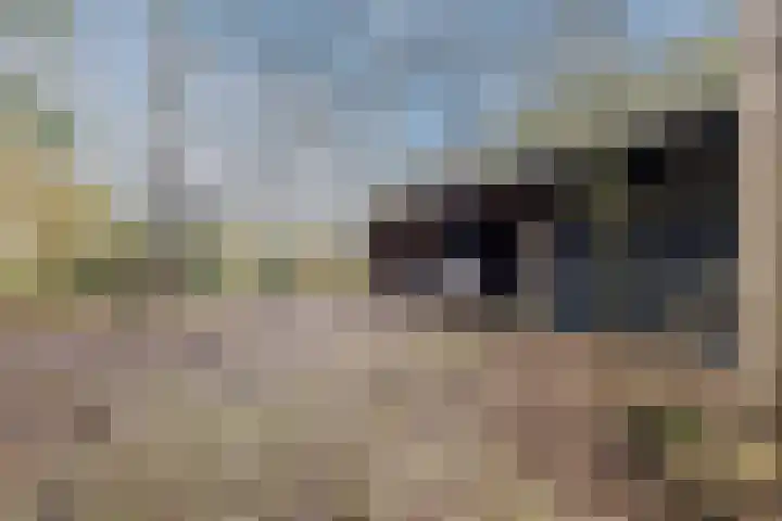 Oude wijk 5 Noordscheschut thumbnail 49