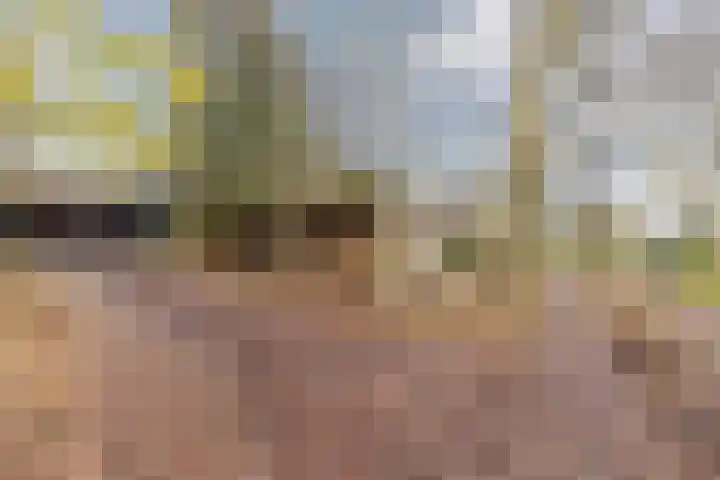 Oude wijk 5 Noordscheschut thumbnail 5