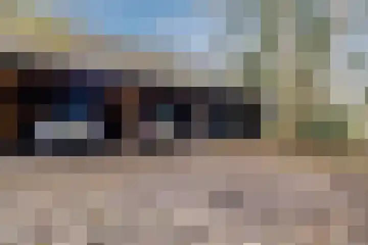 Oude wijk 5 Noordscheschut thumbnail 50