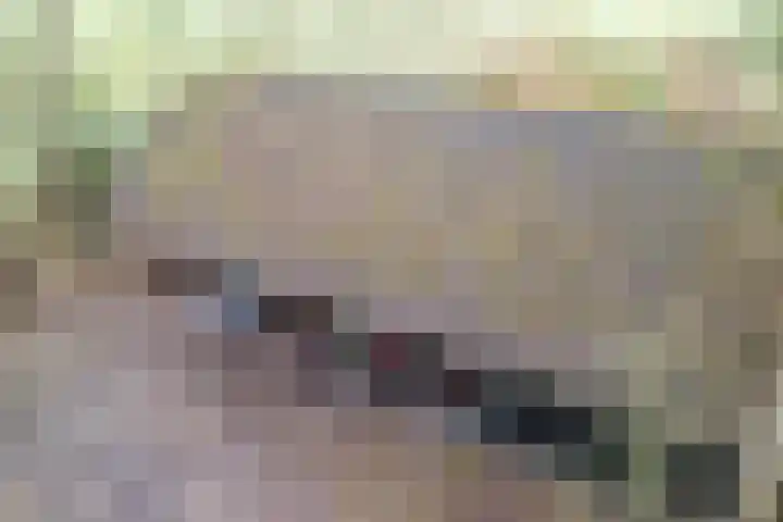 Oude wijk 5 Noordscheschut thumbnail 51