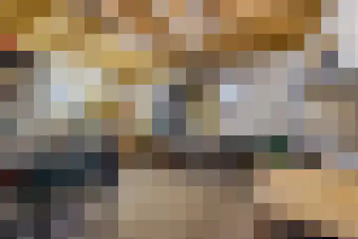 Oude wijk 5 Noordscheschut thumbnail 52