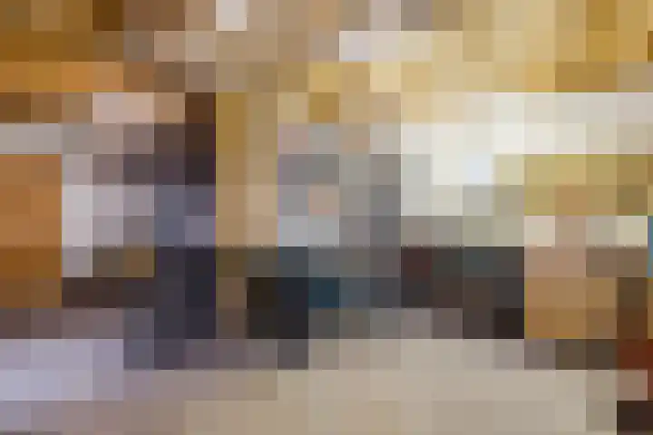 Oude wijk 5 Noordscheschut thumbnail 53