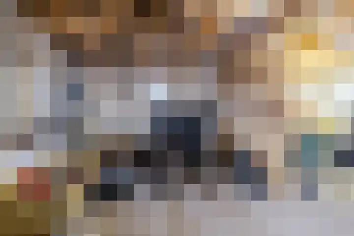 Oude wijk 5 Noordscheschut thumbnail 54