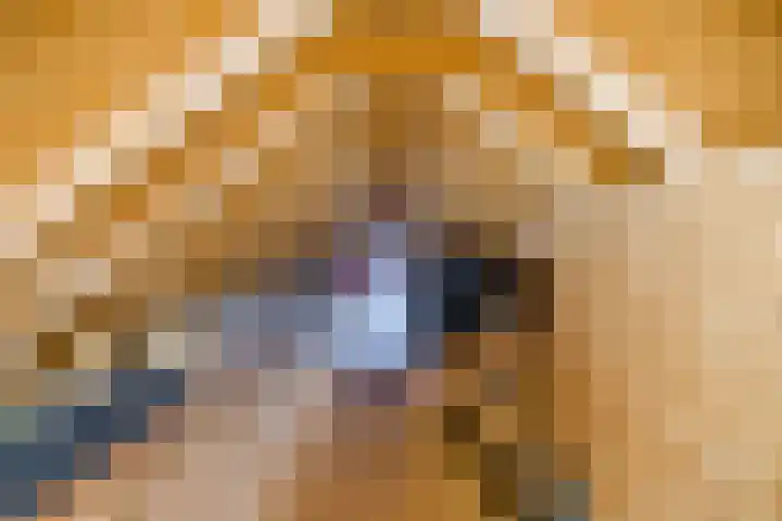 Oude wijk 5 Noordscheschut thumbnail 55