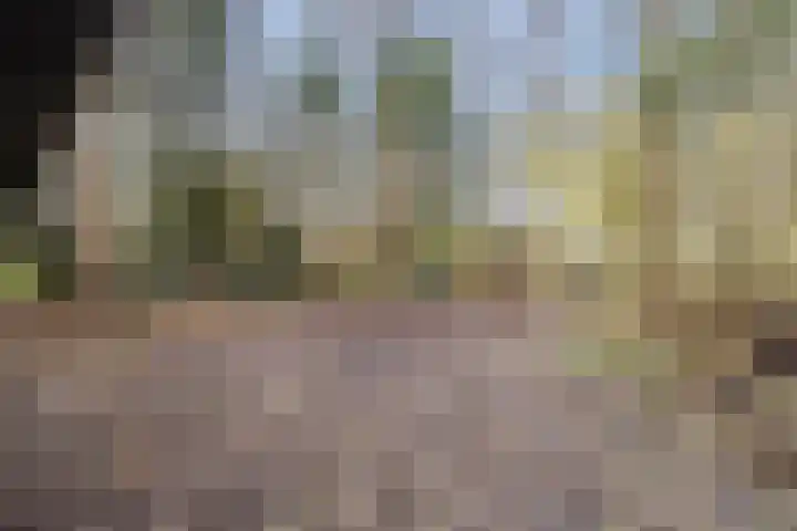 Oude wijk 5 Noordscheschut thumbnail 56