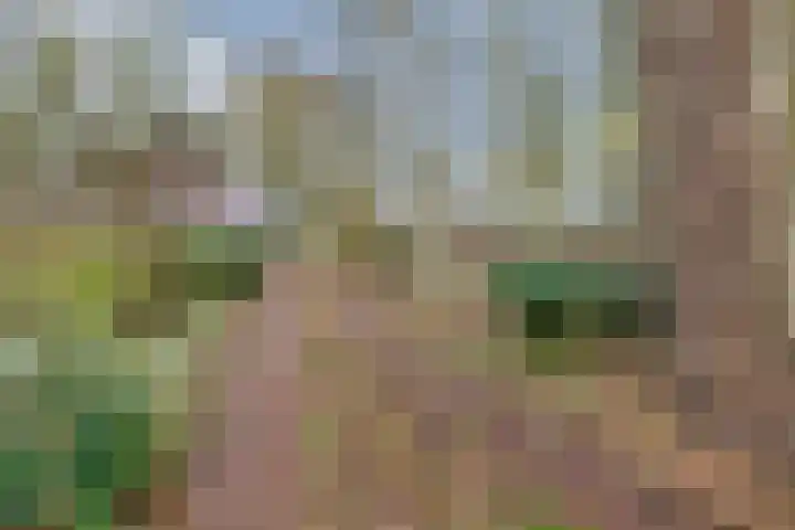 Oude wijk 5 Noordscheschut thumbnail 57