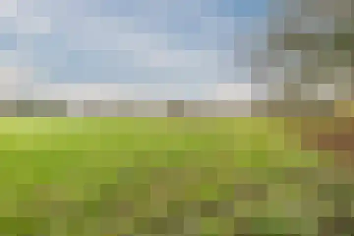 Oude wijk 5 Noordscheschut thumbnail 59