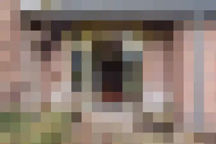 Oude wijk 5 Noordscheschut thumbnail 6