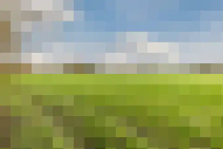 Oude wijk 5 Noordscheschut thumbnail 60