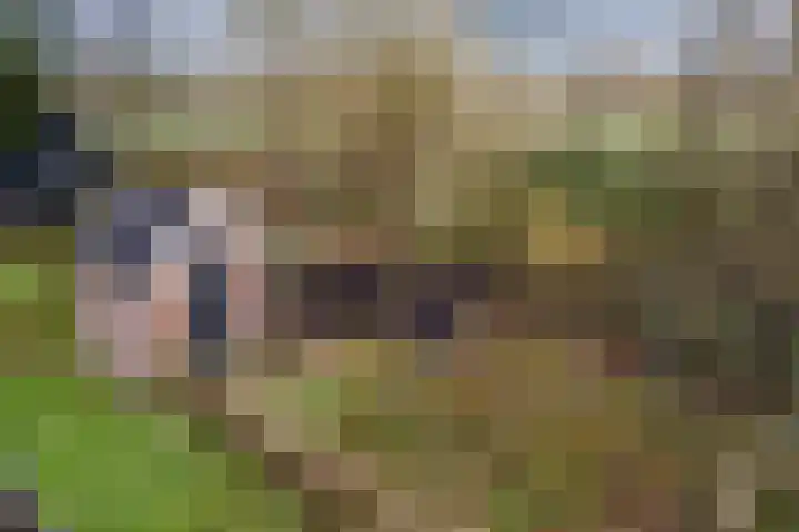 Oude wijk 5 Noordscheschut thumbnail 61