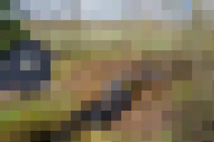 Oude wijk 5 Noordscheschut thumbnail 62