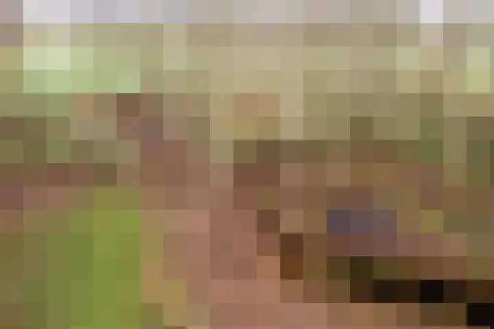 Oude wijk 5 Noordscheschut thumbnail 63