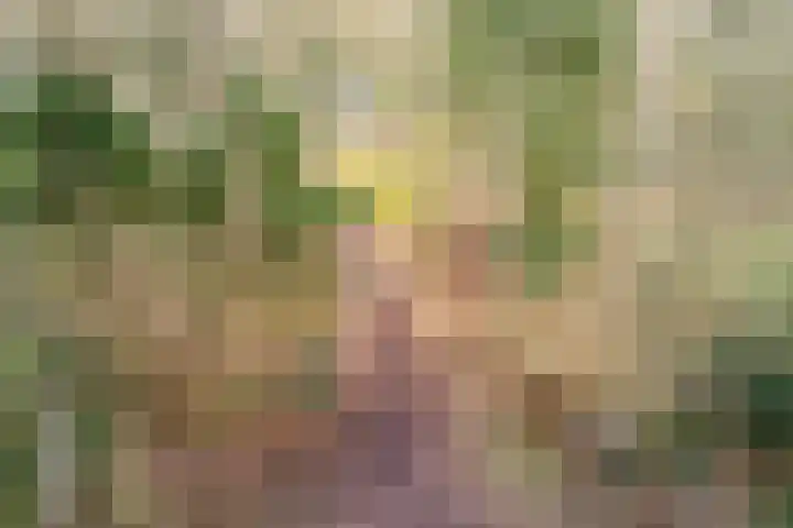 Oude wijk 5 Noordscheschut thumbnail 64