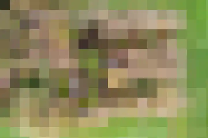 Oude wijk 5 Noordscheschut thumbnail 65