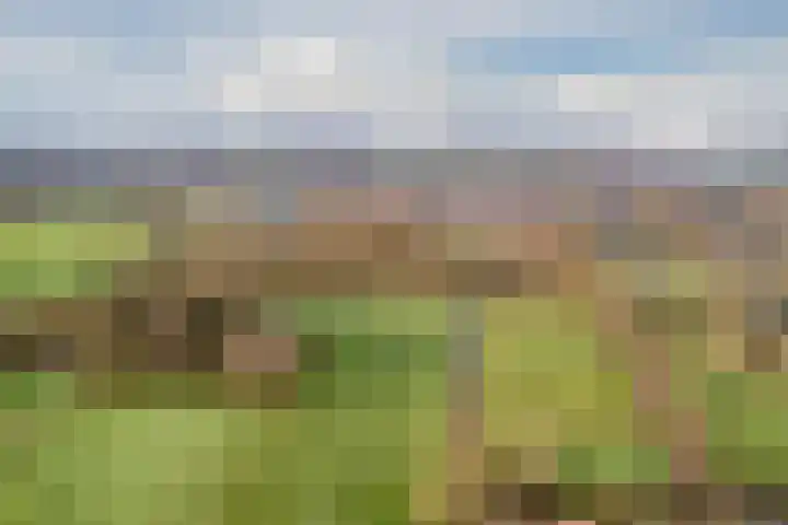 Oude wijk 5 Noordscheschut thumbnail 66